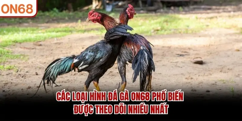 Các loại hình Đá Gà ON68 phổ biến được theo dõi nhiều nhất