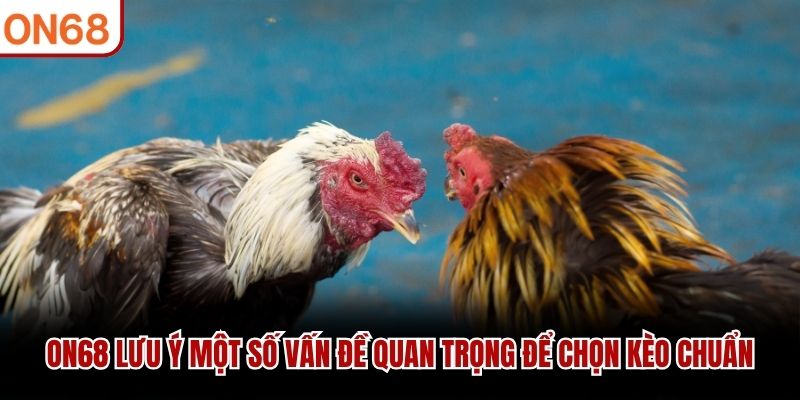 ON68 lưu ý một số vấn đề quan trọng để chọn kèo chuẩn